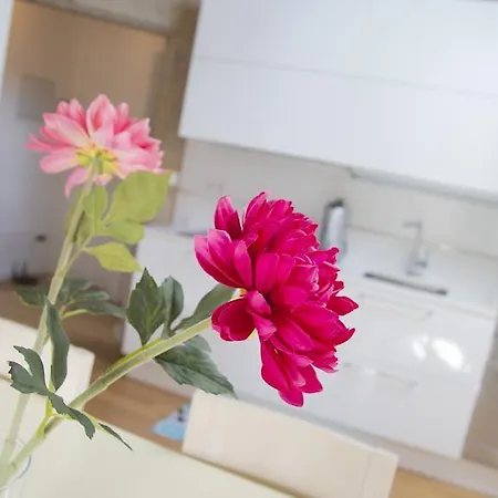 Apartamento Fonte Santo Antonio & Comoencasa *